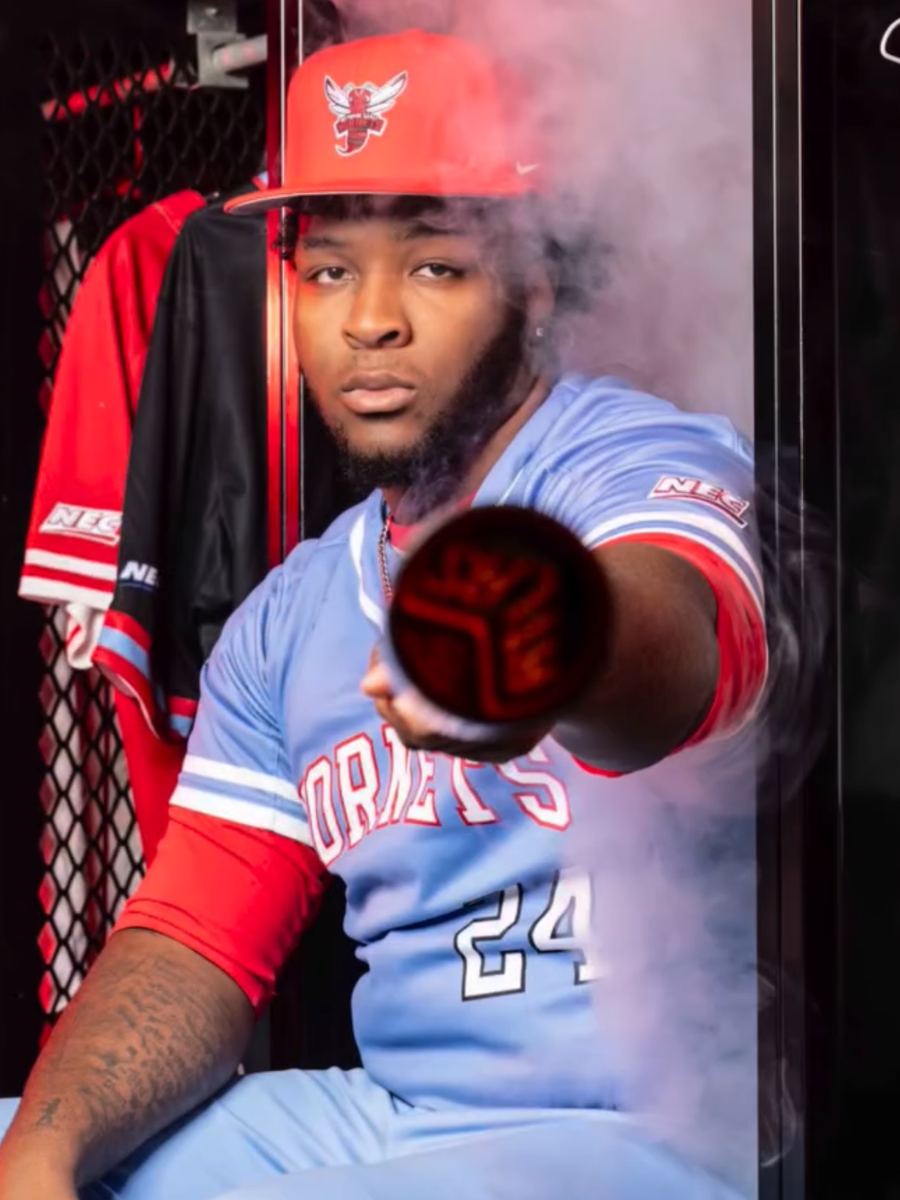 Baseball catcher in smoke, Hornets jersey